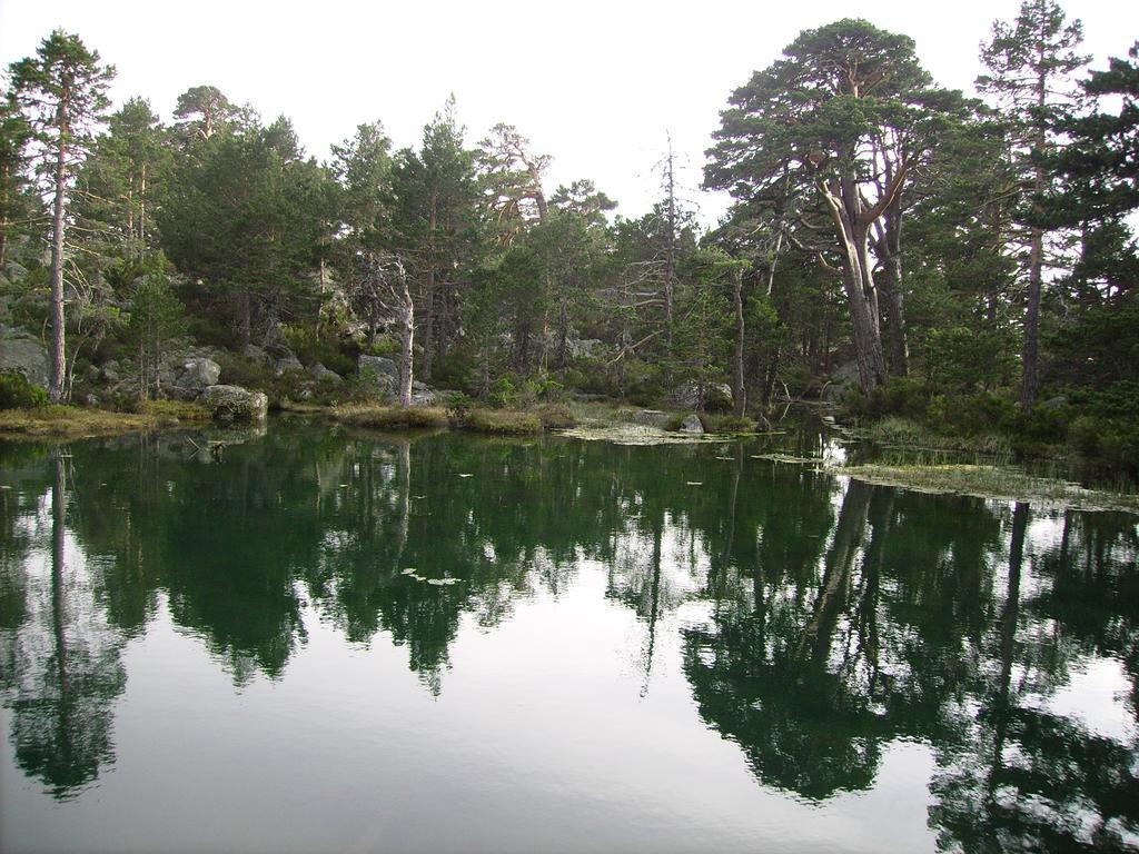 Los Ranchales Vinuesa Esterno foto